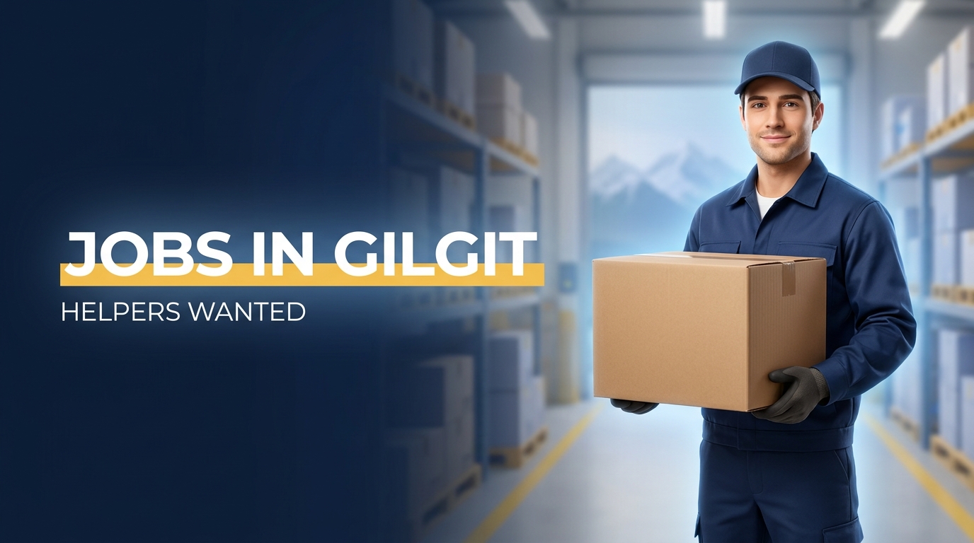 Linko International jobs in Gilgit: warehouse worker carrying a box, hiring male workers and helpers in Danyore